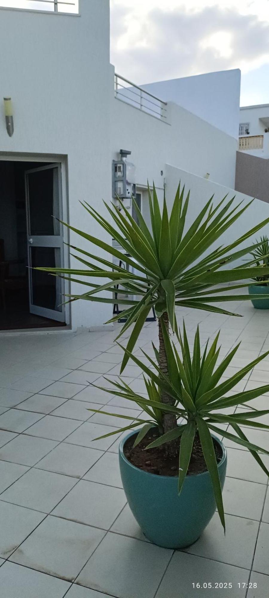 Residence Debbabi Sans Coupure D'Eau المنستير الغرفة الصورة